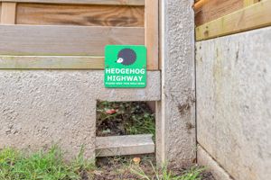 Photo 42- click for photo gallery